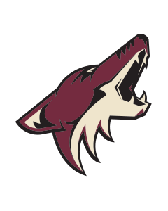Arizona Coyotes