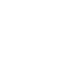 New York Yankees