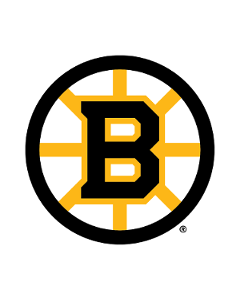 Boston Bruins