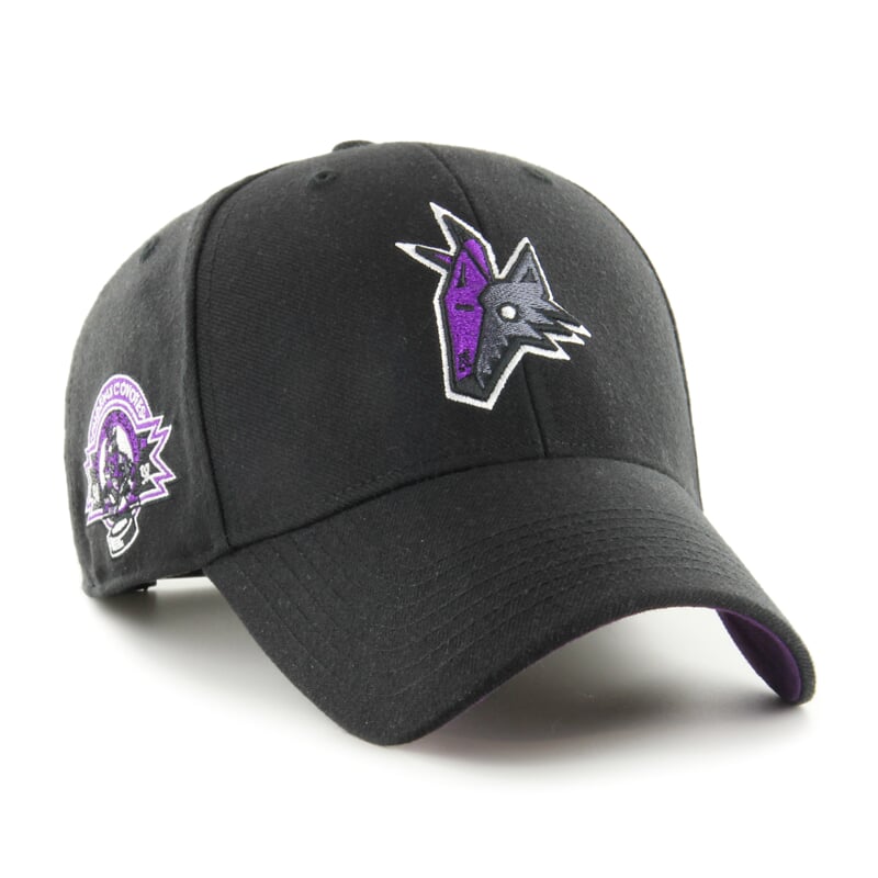 NHL Arizona Coyotes Sure Shot